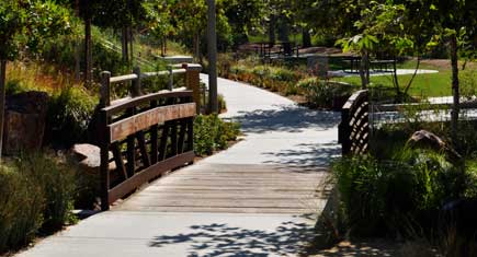 park park